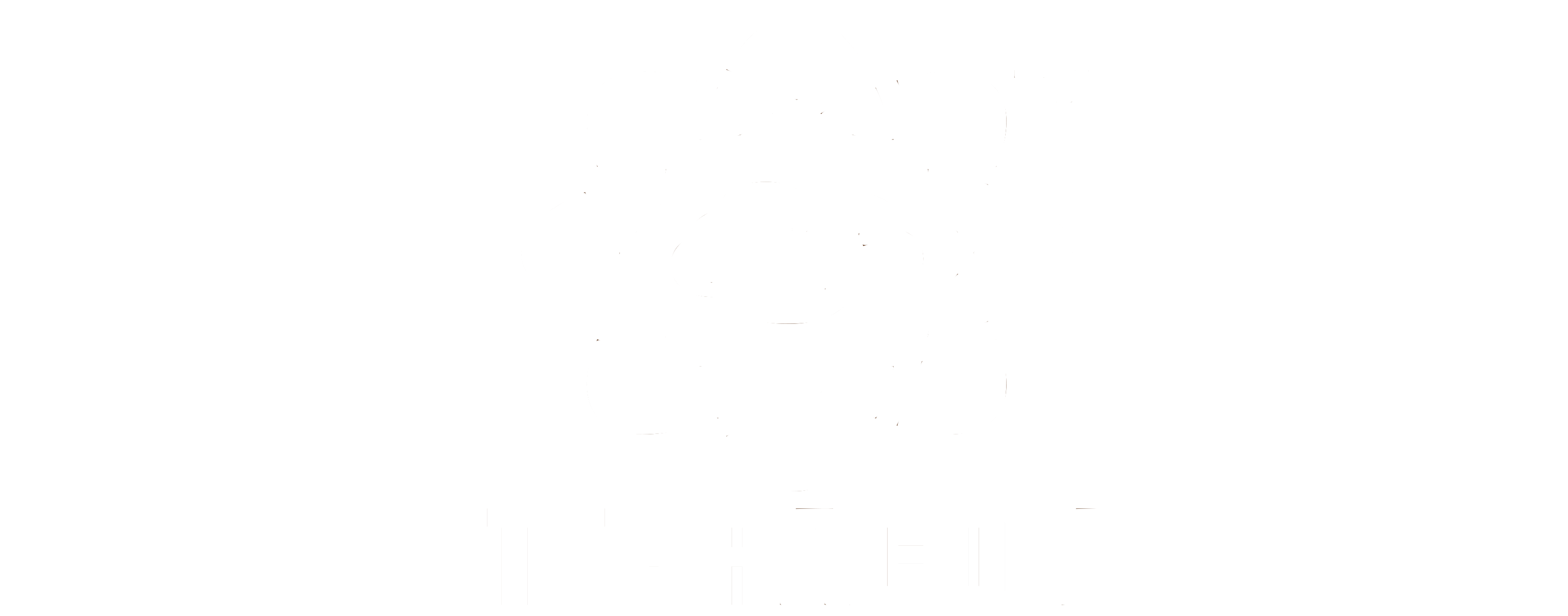 Terracom  - ЗАО "Компания "Альфа-Интеграция"